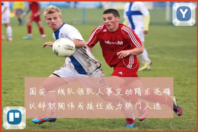 国安一线队领队人事变动隋东亮确认辞职陶伟或接任成为热门人选