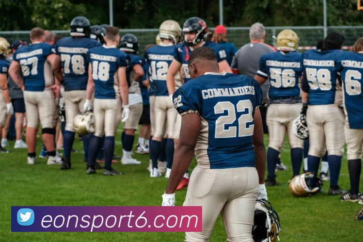 App Interface Preview