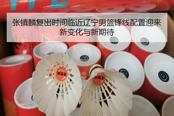 张镇麟复出时间临近辽宁男篮锋线配置迎来新变化与新期待 | eonsports